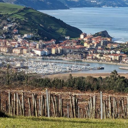 Апартаменты Zumaia Basque Alai Экстерьер фото