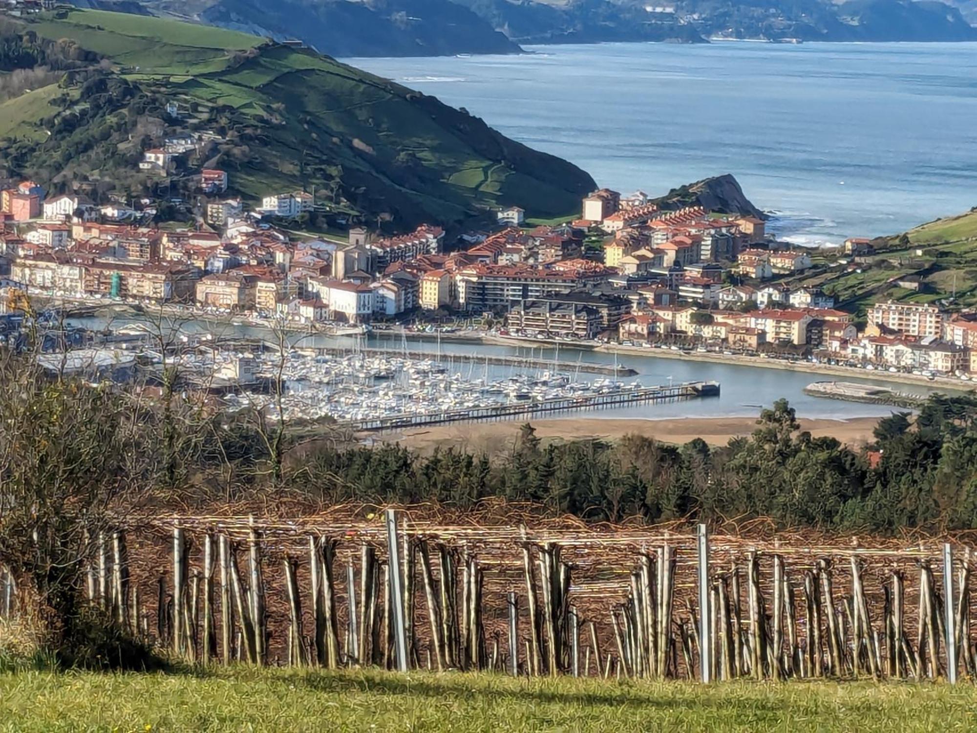 Апартаменты Zumaia Basque Alai Экстерьер фото